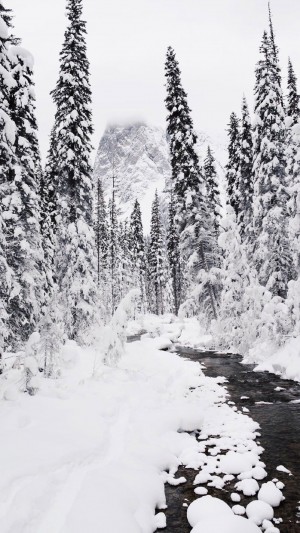 精选绝美冬日雪景图片手机壁纸