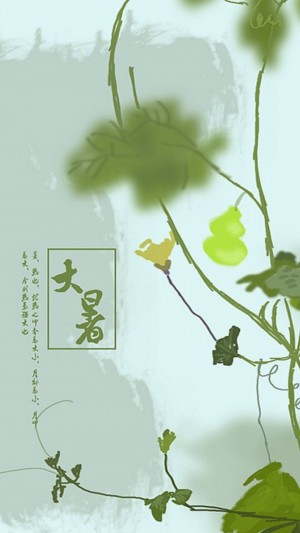 大暑之翠绿的葫芦藤插画