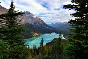加拿大阿尔伯塔班芙,沛托湖的自然风景图片