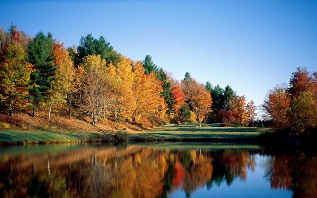 秋水长天河岸优美风景壁纸