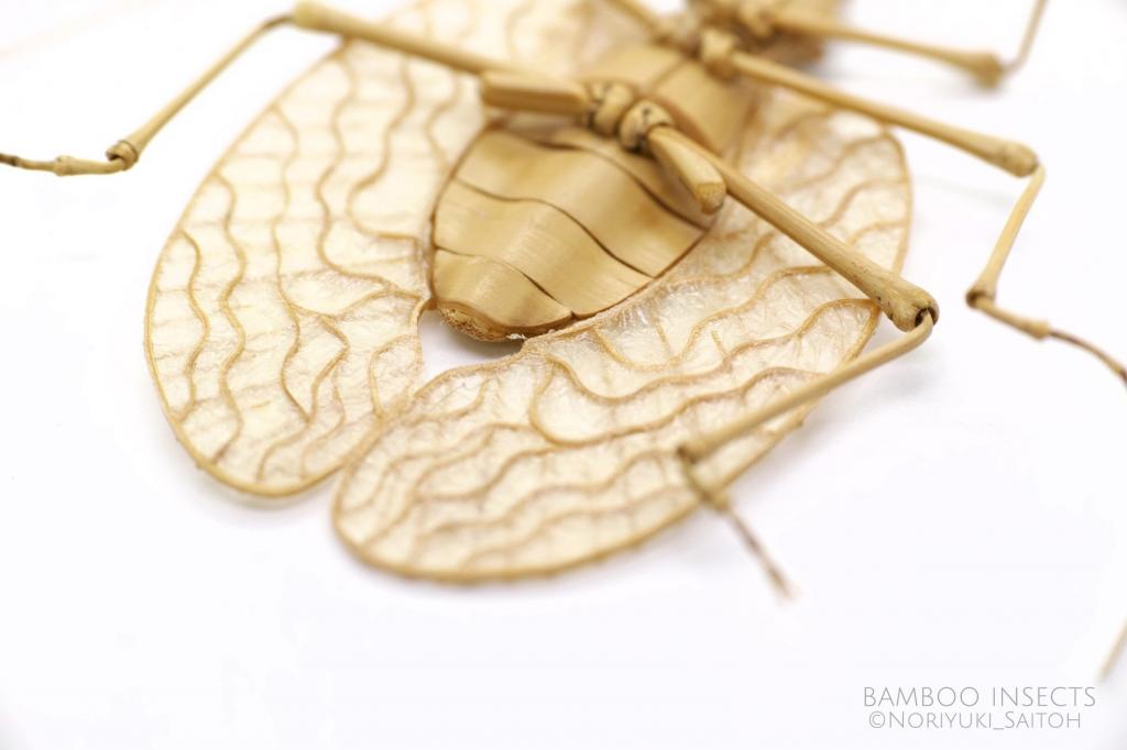 竹子创作出形态逼真的昆虫模型