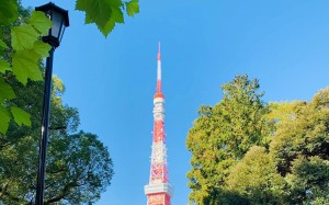 日本建筑东京塔优美风光
