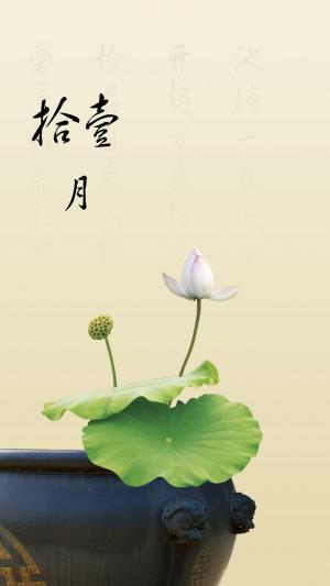 莲花中国风十一月你好的图片
