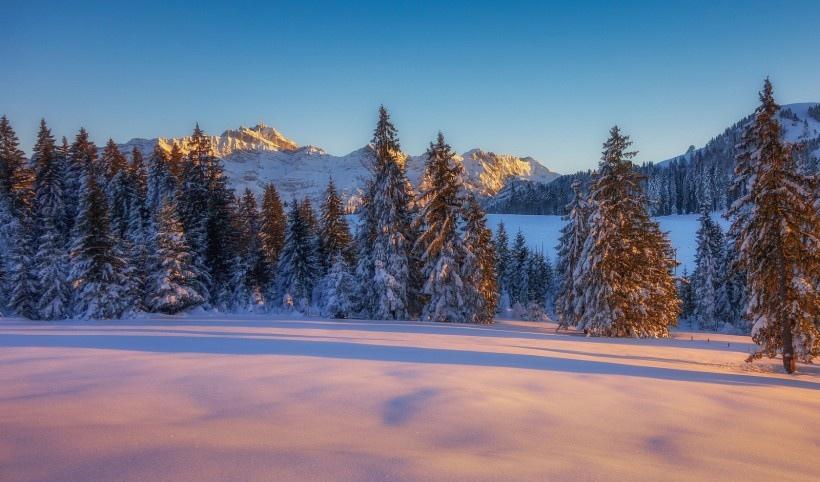 唯美雪景冬季风景图片