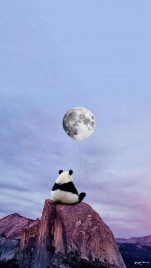 超萌大熊猫创意手机壁纸