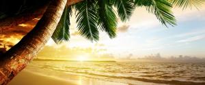 唯美夕阳海滩椰树风景壁纸