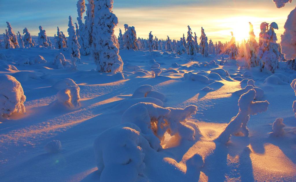 冬日大雪室外自然风景写真