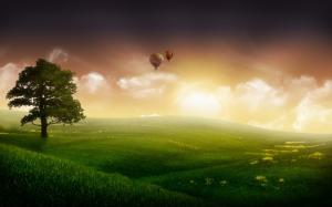 树,雾,天空的气球,草地,风景图片
