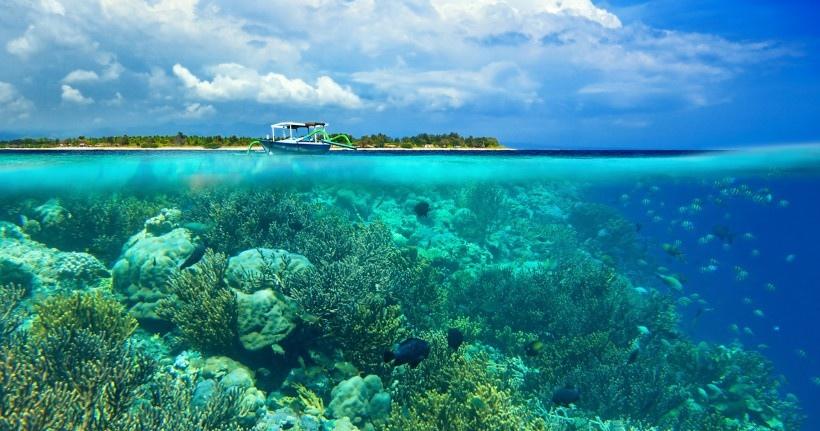 珊瑚海底世界风景