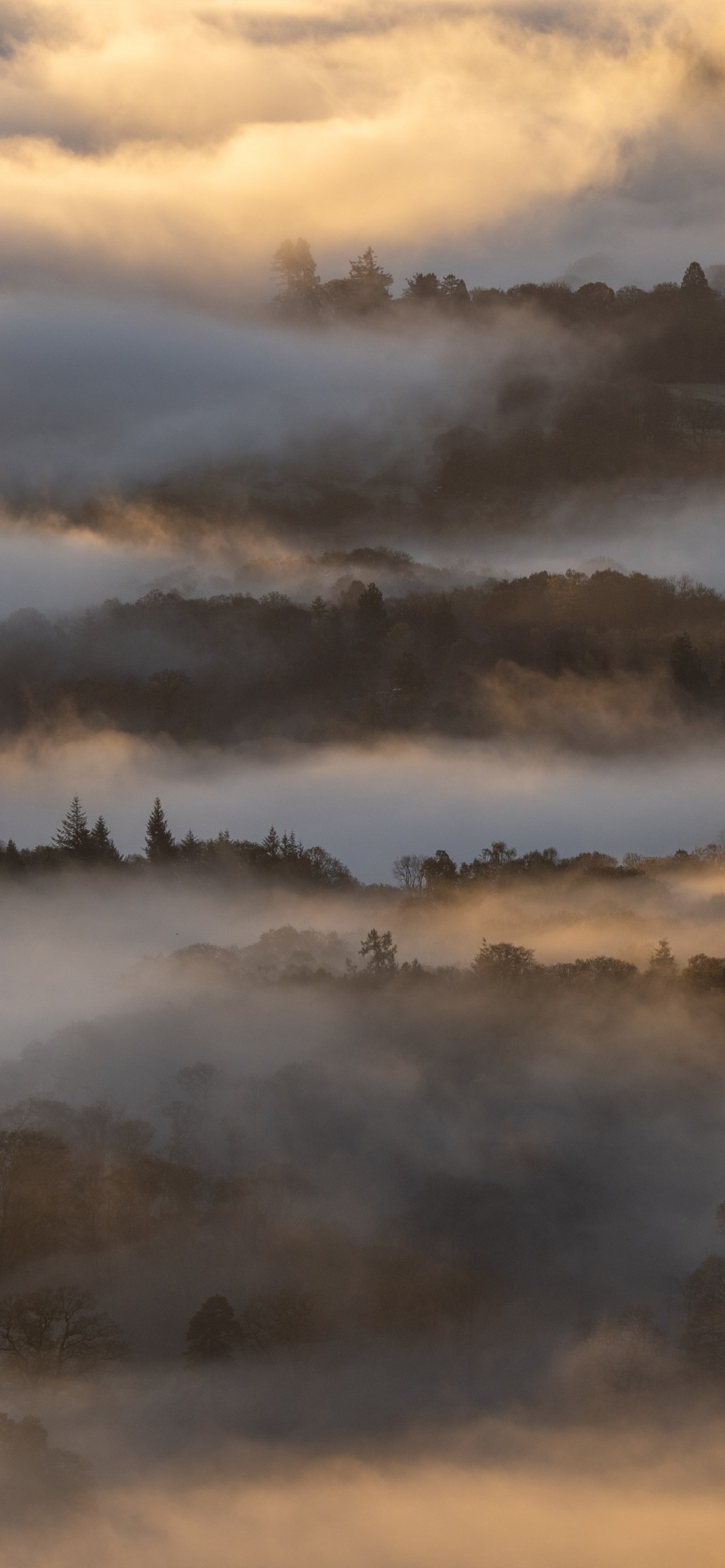 雾影朦胧意境风景手机壁纸