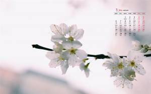 2019年5月清新美好可爱花卉高清日历壁纸