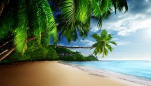 热带天堂阳光沙滩风景图片