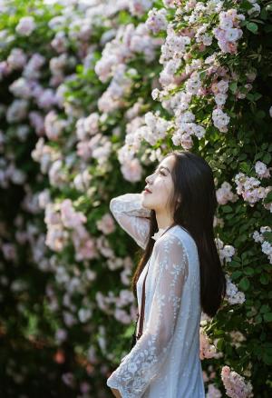 气质美女蕾丝长裙手持单反置身蔷薇花丛写真图片
