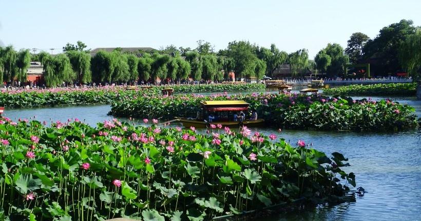 北京北海公园风景写真