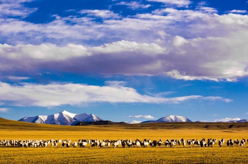 西藏阿里改则风景写真图片
