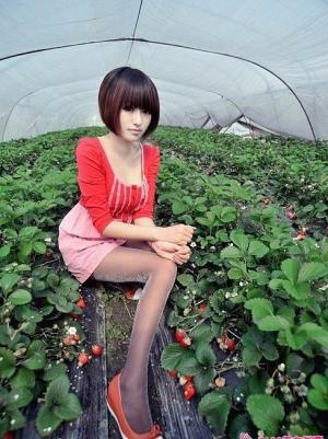 摘草莓的明媚少女清纯靓丽写真