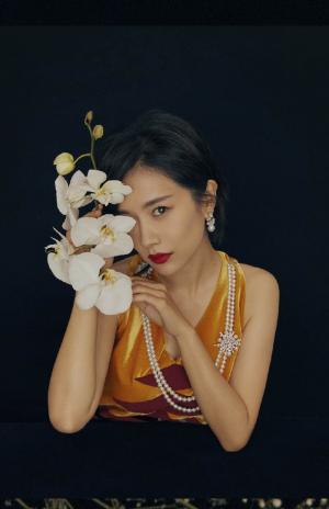 李春嫒古典个性时尚写真图片