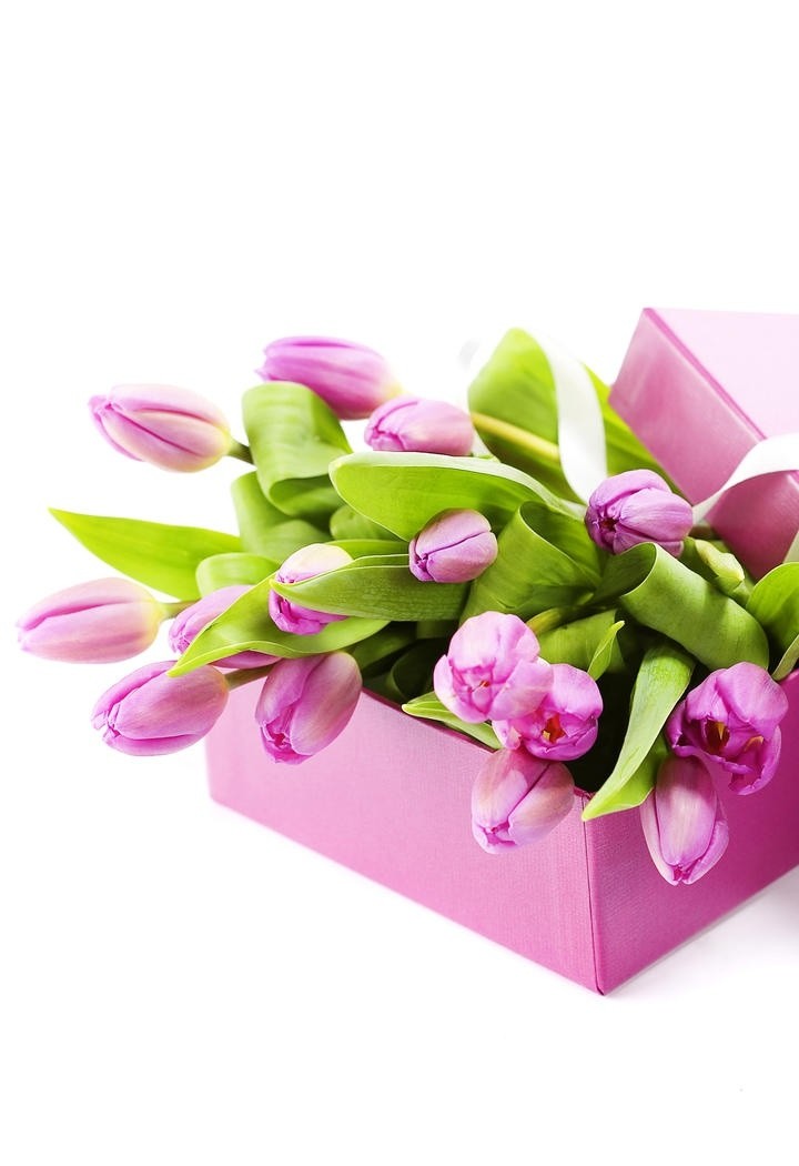 粉色郁金香花盒鲜花图片