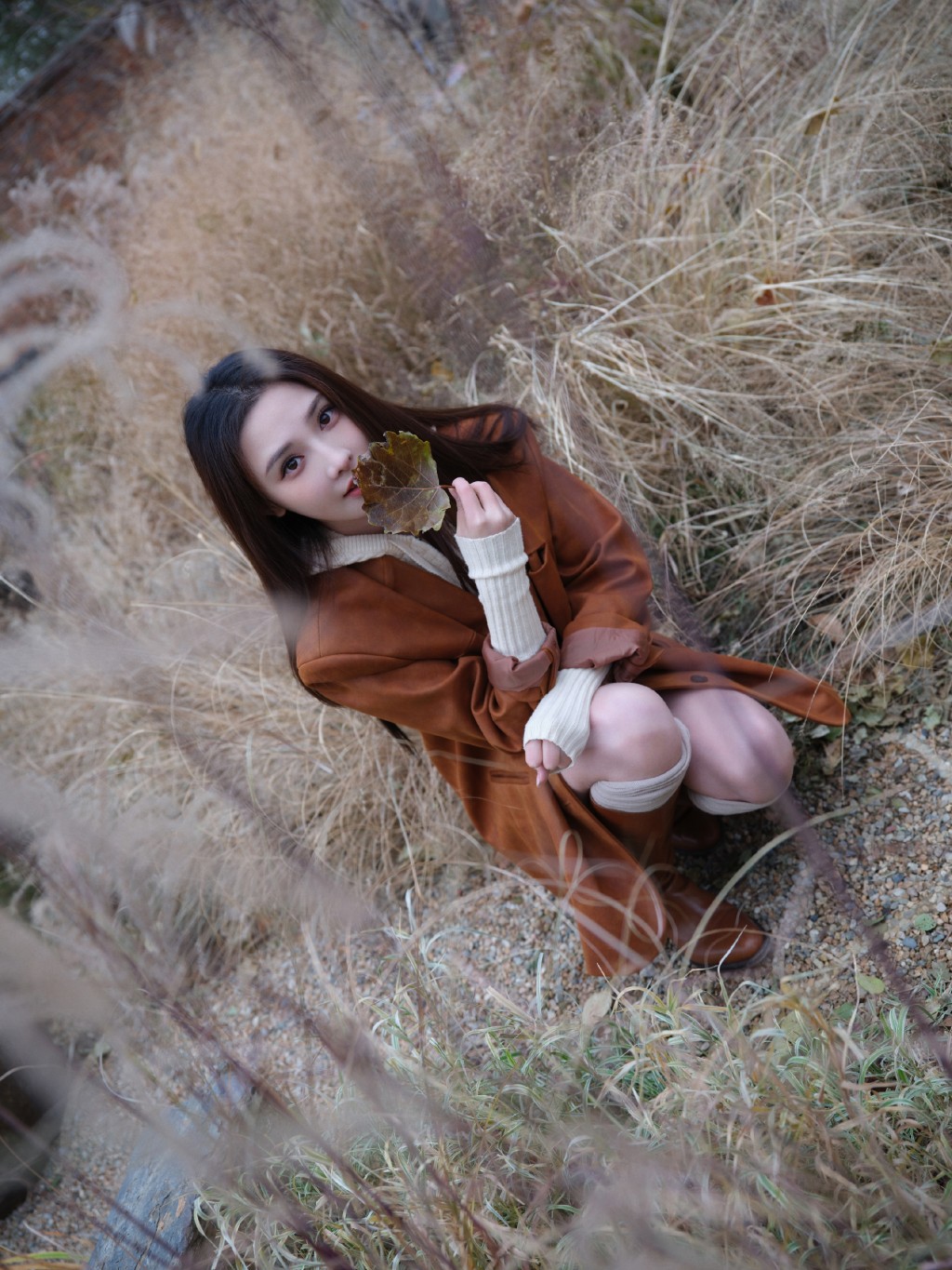 彭小苒棕色套装酷美时髦写真图片