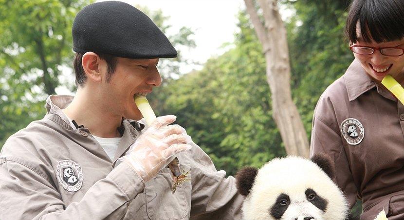 黄晓明来到雅安山探望他的熊猫
