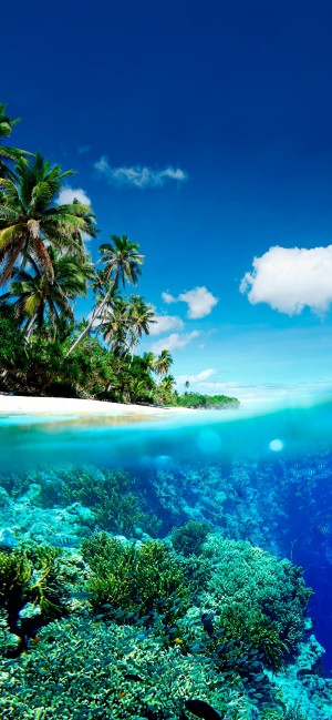 清新唯美碧绿大海自然风景高清手机壁纸