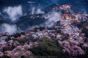 日本奈良黎明时分的吉野山