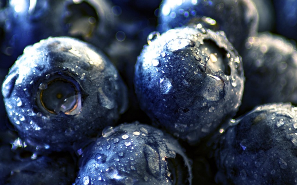 营养丰富的美味蓝莓