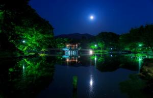月亮下的日本公园风景壁纸