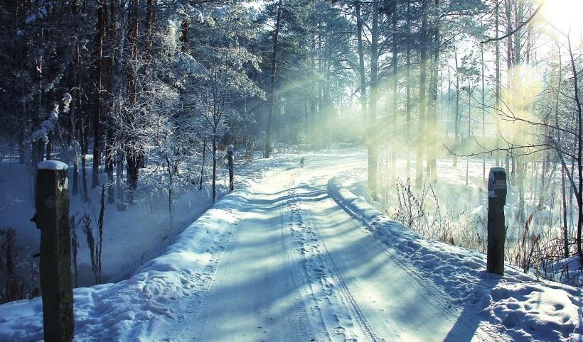 白雪皑皑的景色图片写真