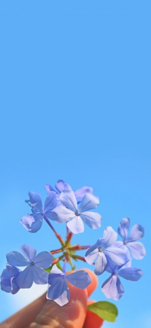 蓝色系天空风景摄影手机壁纸