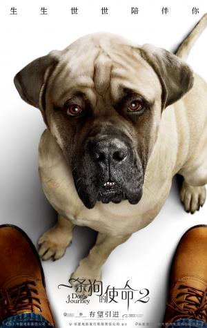 《一条狗的使命2》高清宣传海报图片