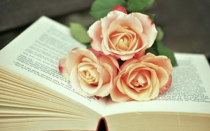 送给爱的人唯美艳丽小清新的玫瑰花