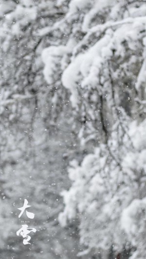 二十四时节大雪节气优美雪景手机壁纸