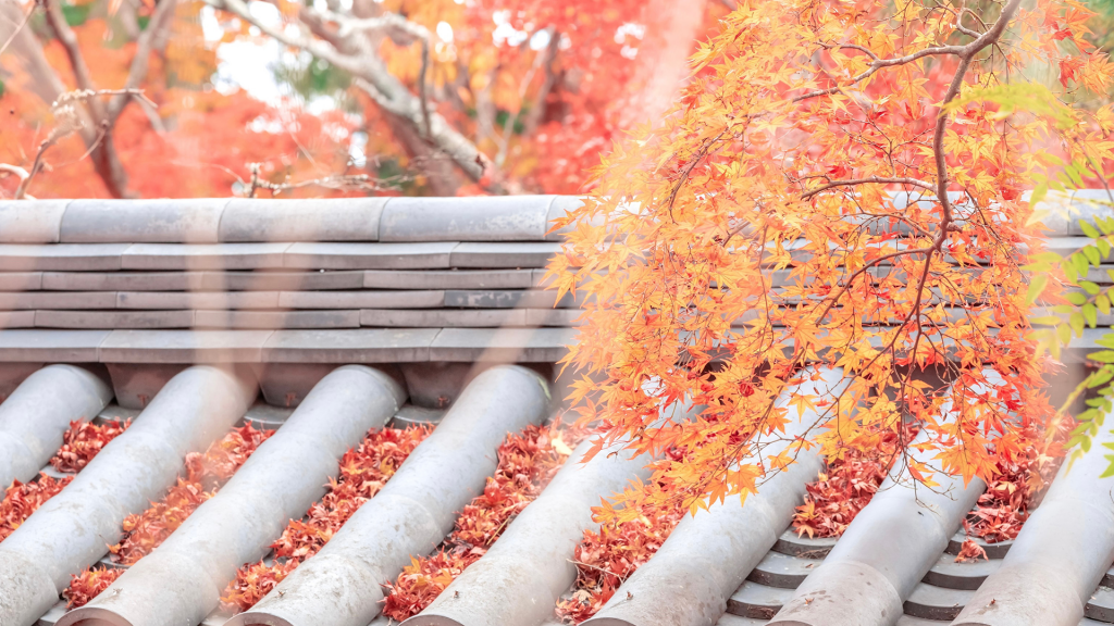 京都红枫意境迷人风景