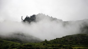 甘南雾气迷人风景写真