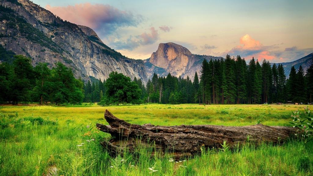 优胜美地国家公园绿色森林唯美风景壁纸