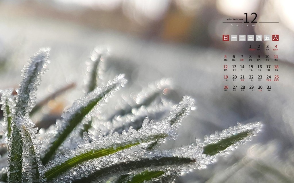 2021年12月小清新养眼的冬天景色日历