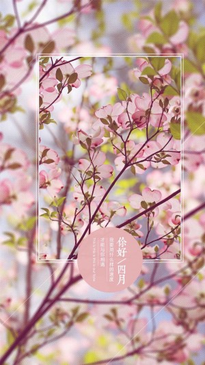 四月你好唯美花朵手机壁纸