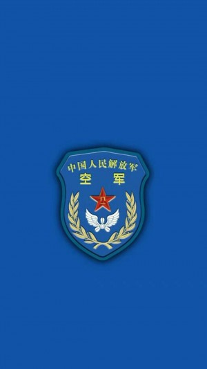 中国人民解放军各军种徽章一览