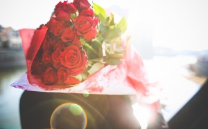 情人节唯美的红玫瑰桌面壁纸