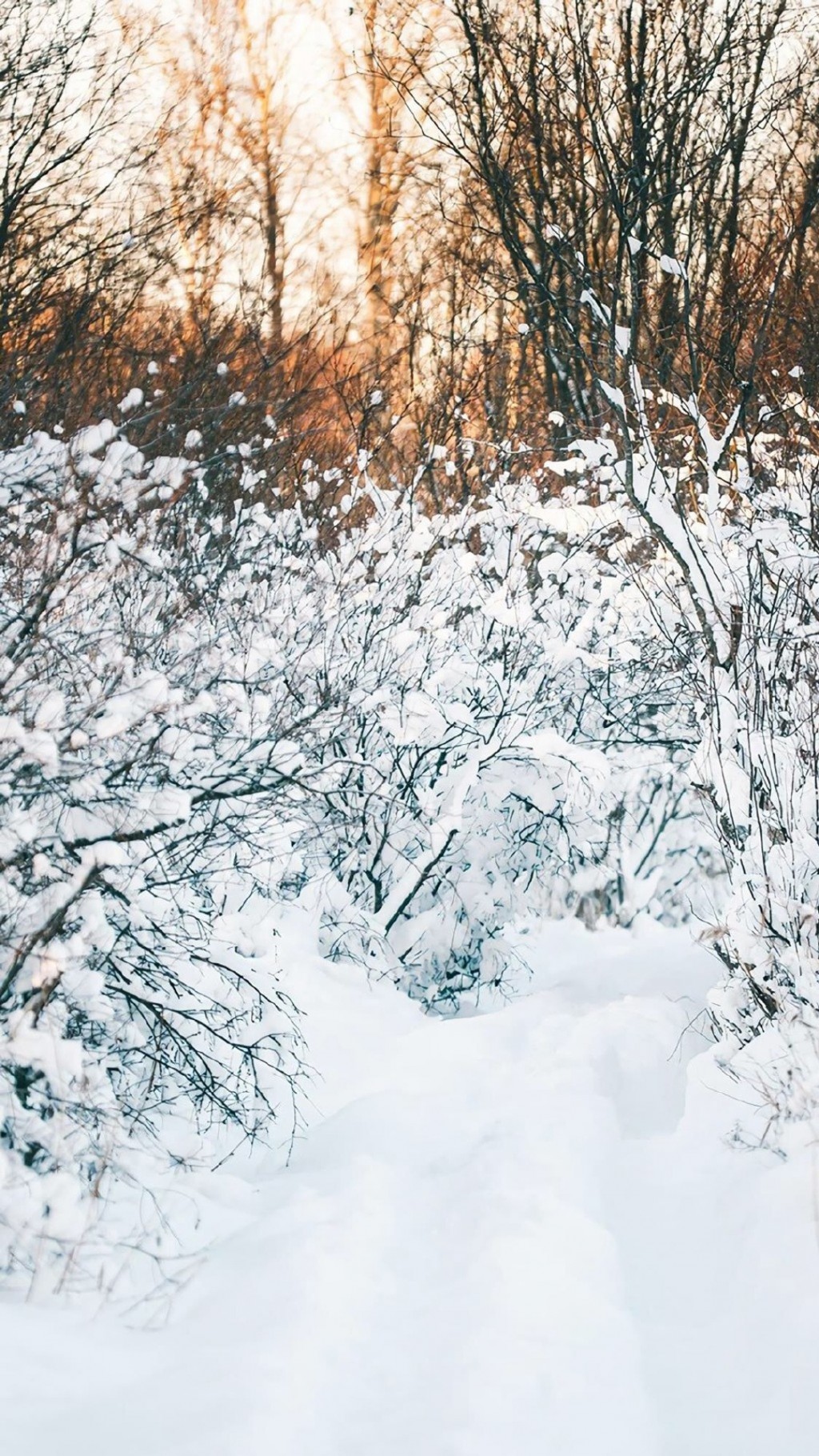 唯美冬雪景致图片手机壁纸