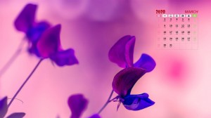 2020年3月清新唯美的花朵日历壁纸