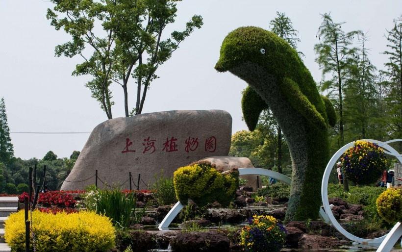 上海植物园风景