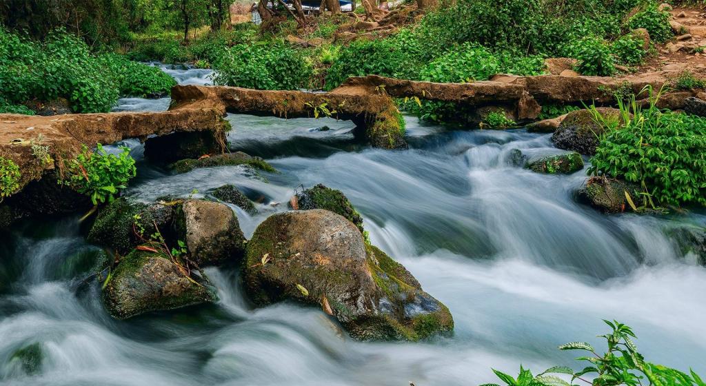 急速溪流自然风景图片