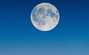 八月十五中秋佳节月亮图片