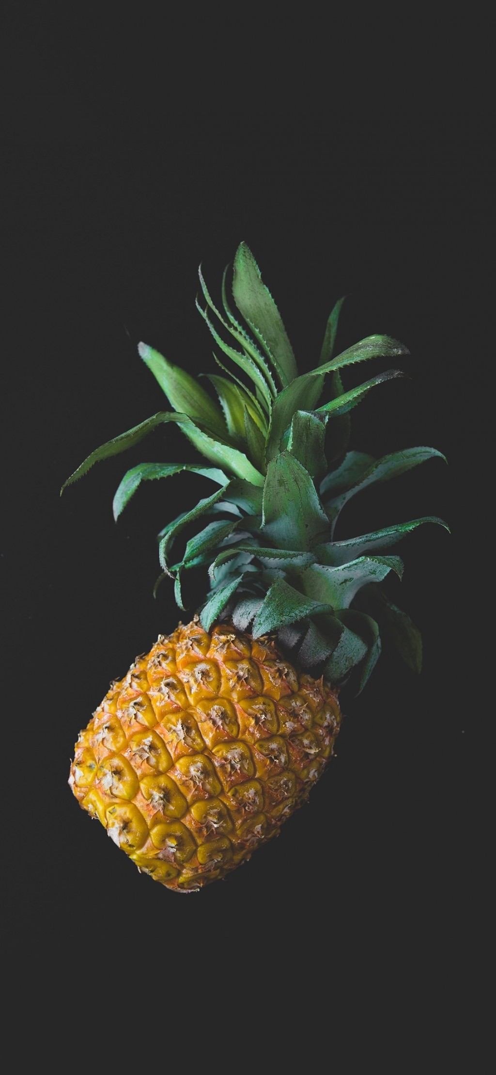 菠萝水果手机壁纸