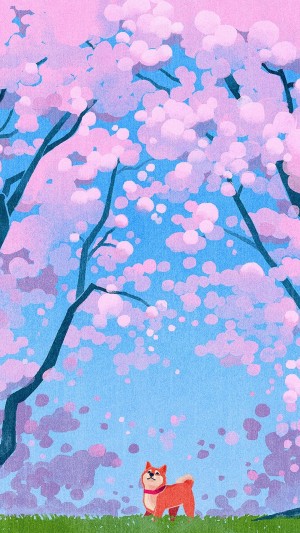 可爱柴犬仰望樱花树