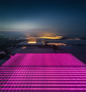 航拍荷兰的LED温室
