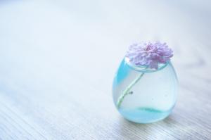 花瓶,水,粉红色的鲜花,简单干净清爽背景图片