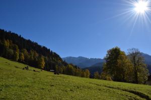 巴伐利亚山 蓝色天空 太阳 风景图片